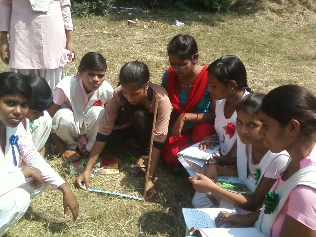 Field Programme